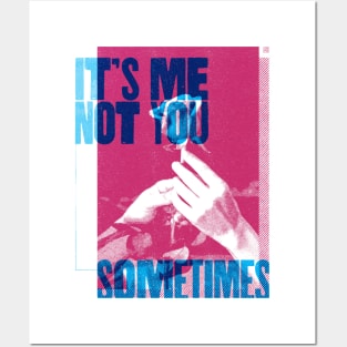 It's Me not You Posters and Art